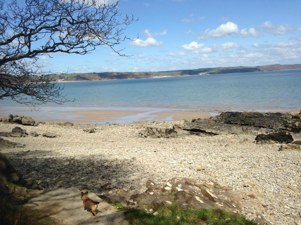 Merlewood Hotel Saundersfoot Eksteriør bilde